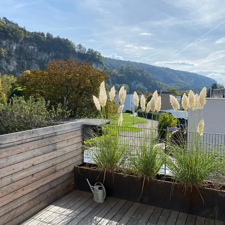 Terrassenwohnung In Götzis